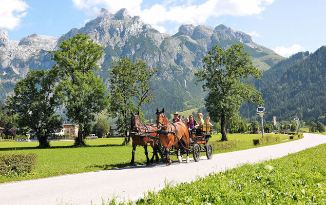 Edelweiss - Photo 20