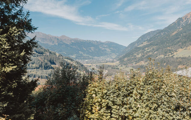 Alpenpanorama - Photo 17