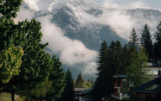 Sissis Green Chalets Hubertus - Photo 43