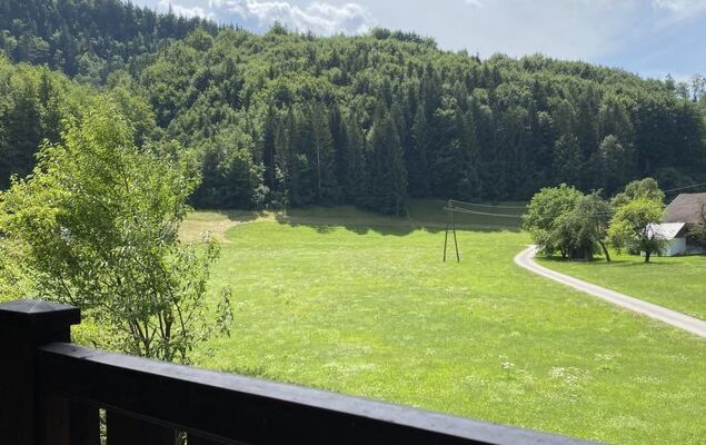 Hasenstall / Top 8 - Photo 23