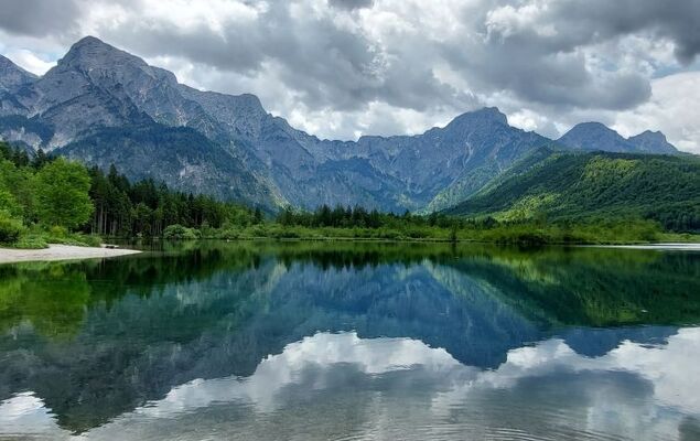 Hasenstall / Top 8 - Photo 40