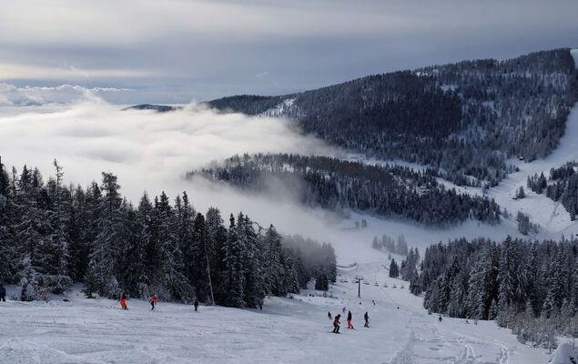 Hütte Buchfink - Photo 23
